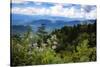 Blue Ridge Parkway vista, Smoky Mountains, USA.-Anna Miller-Stretched Canvas