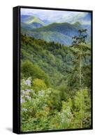 Blue Ridge Parkway vista, Smoky Mountains, USA.-Anna Miller-Framed Stretched Canvas