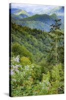 Blue Ridge Parkway vista, Smoky Mountains, USA.-Anna Miller-Stretched Canvas