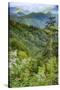 Blue Ridge Parkway vista, Smoky Mountains, USA.-Anna Miller-Stretched Canvas