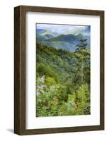 Blue Ridge Parkway vista, Smoky Mountains, USA.-Anna Miller-Framed Photographic Print