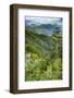 Blue Ridge Parkway vista, Smoky Mountains, USA.-Anna Miller-Framed Photographic Print