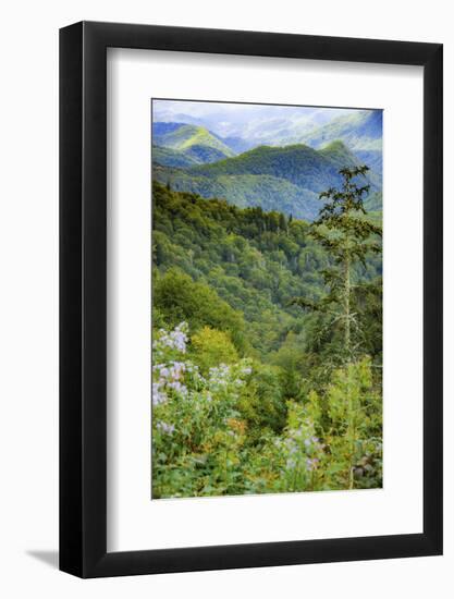 Blue Ridge Parkway vista, Smoky Mountains, USA.-Anna Miller-Framed Photographic Print