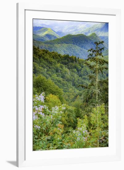 Blue Ridge Parkway vista, Smoky Mountains, USA.-Anna Miller-Framed Photographic Print