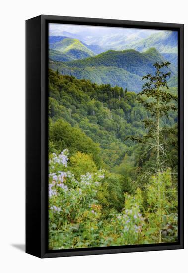 Blue Ridge Parkway vista, Smoky Mountains, USA.-Anna Miller-Framed Stretched Canvas