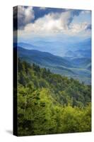 Blue Ridge Parkway vista, Smoky Mountains, USA.-Anna Miller-Stretched Canvas