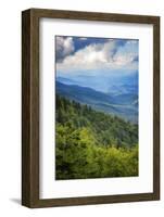 Blue Ridge Parkway vista, Smoky Mountains, USA.-Anna Miller-Framed Photographic Print