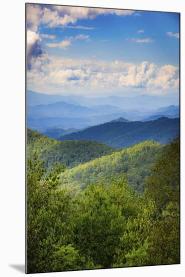Blue Ridge Parkway vista, Smoky Mountains, USA.-Anna Miller-Mounted Photographic Print