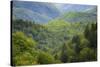 Blue Ridge Parkway vista, Smoky Mountains, USA.-Anna Miller-Stretched Canvas