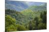 Blue Ridge Parkway vista, Smoky Mountains, USA.-Anna Miller-Mounted Photographic Print