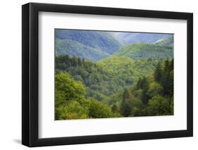 Blue Ridge Parkway vista, Smoky Mountains, USA.-Anna Miller-Framed Photographic Print