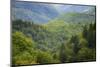 Blue Ridge Parkway vista, Smoky Mountains, USA.-Anna Miller-Mounted Photographic Print