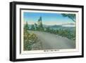 Black Frame