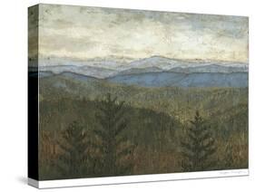 Blue Ridge View I-Megan Meagher-Stretched Canvas