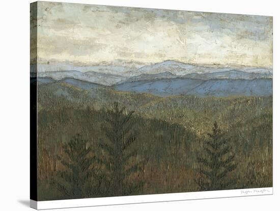 Blue Ridge View I-Megan Meagher-Stretched Canvas