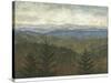 Blue Ridge View I-Megan Meagher-Stretched Canvas
