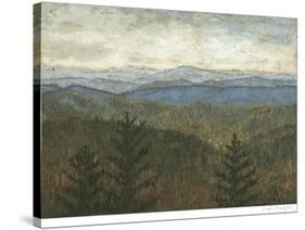 Blue Ridge View I-Megan Meagher-Stretched Canvas