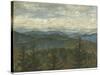 Blue Ridge View II-Megan Meagher-Stretched Canvas