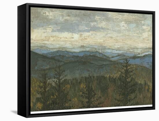 Blue Ridge View II-Megan Meagher-Framed Stretched Canvas