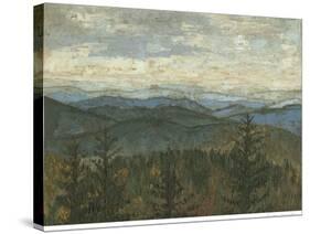 Blue Ridge View II-Megan Meagher-Stretched Canvas