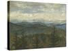 Blue Ridge View II-Megan Meagher-Stretched Canvas