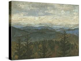 Blue Ridge View II-Megan Meagher-Stretched Canvas