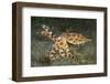 Blue-Ringed Cctopus (Hapalochlaena Lunulata) Swimming During Daytime-Constantinos Petrinos-Framed Photographic Print