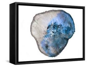 Blue Rings Of Saturn-Sheldon Lewis-Framed Stretched Canvas