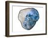 Blue Rings Of Saturn-Sheldon Lewis-Framed Art Print