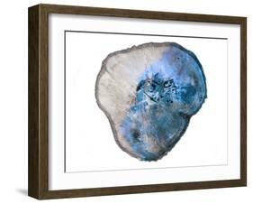 Blue Rings Of Saturn-Sheldon Lewis-Framed Art Print