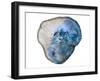 Blue Rings Of Saturn-Sheldon Lewis-Framed Art Print