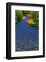 Blue River of Muscari Flowers-neirfy-Framed Photographic Print
