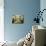 Blue Room after Restoration-null-Photographic Print displayed on a wall