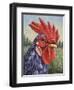 Blue Rooster-James W. Johnson-Framed Giclee Print