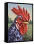 Blue Rooster-James W. Johnson-Framed Stretched Canvas