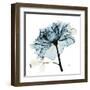 Blue Rose 2-Albert Koetsier-Framed Art Print