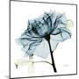 Blue Rose 2-Albert Koetsier-Mounted Art Print