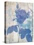 Blue Rose In My Garden-Sheldon Lewis-Stretched Canvas