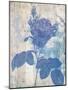 Blue Rose In My Garden-Sheldon Lewis-Mounted Art Print