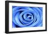 Blue Rose-Stephen Lebovits-Framed Giclee Print