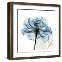 Blue Rose-Albert Koetsier-Framed Art Print