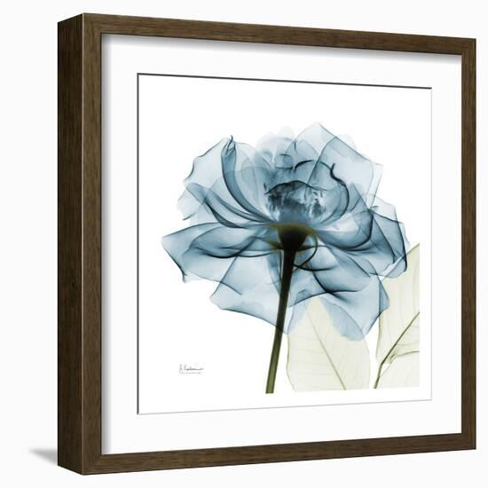 Blue Rose-Albert Koetsier-Framed Art Print