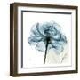 Blue Rose-Albert Koetsier-Framed Art Print