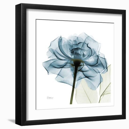 Blue Rose-Albert Koetsier-Framed Art Print