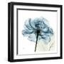 Blue Rose-Albert Koetsier-Framed Art Print