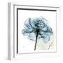 Blue Rose-Albert Koetsier-Framed Art Print