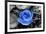 Blue Rose-null-Framed Photo