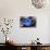 Blue Rose-null-Photo displayed on a wall