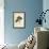Blue Sage, Eranthemum Pulchellum (Blue-Flowered Justicia, Justicia Nervosa)-Sydenham Teast Edwards-Framed Giclee Print displayed on a wall
