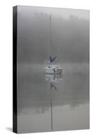 Blue Sail-Tammy Putman-Stretched Canvas